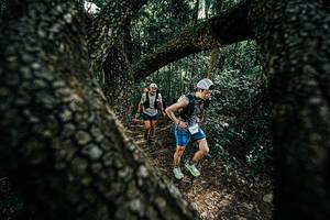 BIB: 
                            <button type="button" onclick="openModal(25391961)" class="btn btn-primary btn-sm float-right btn-popup" data-toggle="modal" data-target=".modal-high-quality">
                        <i class="fas fa-shopping-cart"></i> Add to Cart
                    </button>
                                            <button type="button" onclick="isThisMe(25391961, true)" class="btn btn-success btn-sm float-right btn-popup btn-isme hidden" data-toggle="tooltip" data-placement="bottom" title="นี่คือรูปของคุณใช่ไหม คลิกที่นี่เพื่อเอาเข้าอัลบั้ม">
                        <i class="fas fa-plus"></i> Add to album
                    </button>
                    <button type="button" onclick="isThisMe(25391961, false)" class="btn btn-warning btn-sm float-right btn-popup btn-isnotme hidden">
                        <i class="fas fa-ban"></i> Remove from album
                    </button>